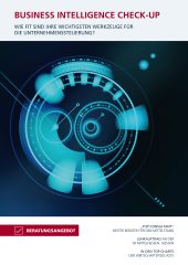 IBM Cognos - Check-up