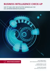 IBM Cognos - Check-up